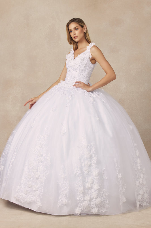 Juliet Floral Applique Quinceanera Ball Gown with 3D Flowers Juliet