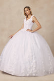 Juliet Floral Applique Quinceanera Ball Gown with 3D Flowers Juliet