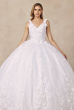 Juliet Floral Applique Quinceanera Ball Gown with 3D Flowers Juliet