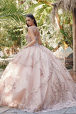 Juliet Embroidered Sleeveless Corset Quinceañera Ball Gown JT1450J Juliet