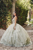 Juliet Embroidered Sleeveless Corset Quinceañera Ball Gown JT1450J Juliet