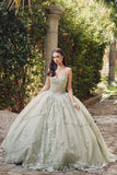 Juliet Embroidered Sleeveless Corset Quinceañera Ball Gown JT1450J Juliet