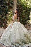 Juliet Embroidered Sleeveless Corset Quinceañera Ball Gown JT1450J Juliet