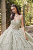 Juliet Embroidered Sleeveless Corset Quinceañera Ball Gown JT1450J Juliet