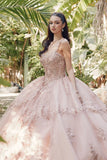 Juliet Embroidered Sleeveless Corset Quinceañera Ball Gown JT1450J Juliet