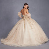 Juliet Off-The-Shoulder Embroidery 3D Flowers Applique Quinceanera Ball Gown Juliet