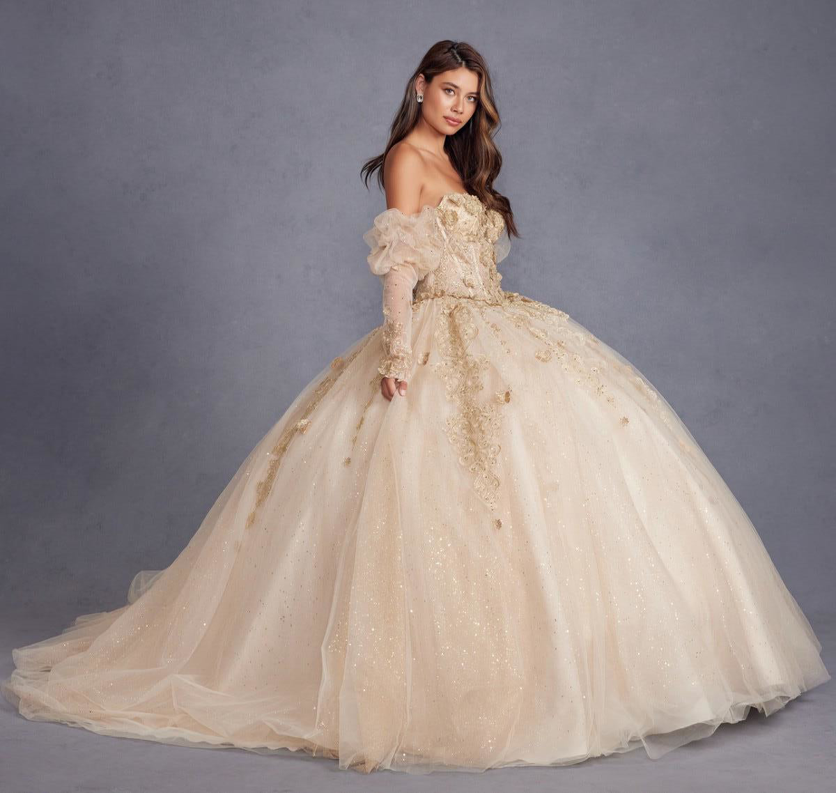 Juliet Off-The-Shoulder Embroidery 3D Flowers Applique Quinceanera Ball Gown Juliet