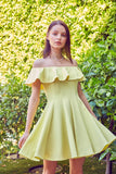 A Line Ruffle Dress - Rosa Apparel