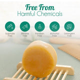 BeNat All-Natural Shampoo Bar & Conditioner Bar Bundle with Antioxidants to Support Healthy Hair Plastic-Free. No GMO's, No Detergents. - Rosa Apparel