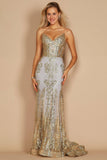 Dylan & Davids Fitted Long Formal Dress DD1238 - Rosa Apparel