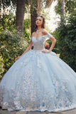 Juliet Off-The-Shoulder Embroidery Back Bow Quinceanera Ball Gown - Rosa Apparel