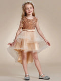 Sequin Sleeveless High-Low Flower Girl Dresses - Rosa Apparel