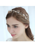 Shiny Exquisite Tiara - Rosa Apparel