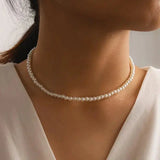 Silver Sparkling Clavicle Chain Necklace - Rosa Apparel