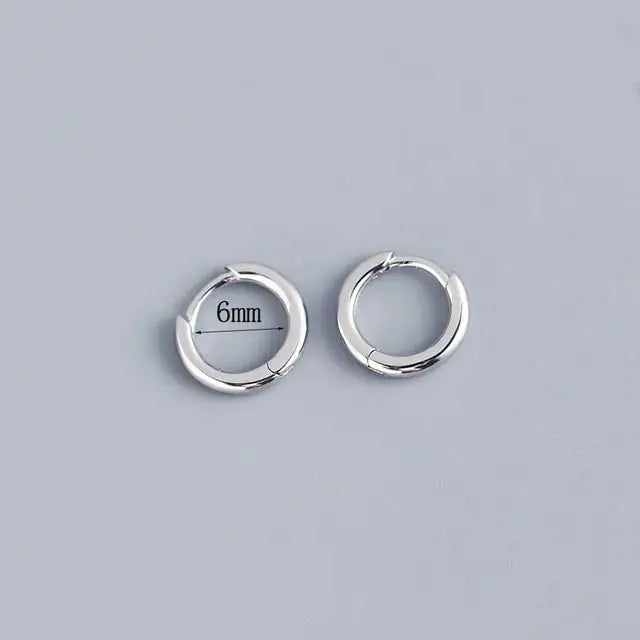 Stainless Steel Minimalist Huggie Hoop Earrings - Rosa Apparel