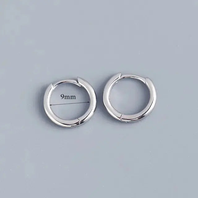 Stainless Steel Minimalist Huggie Hoop Earrings - Rosa Apparel