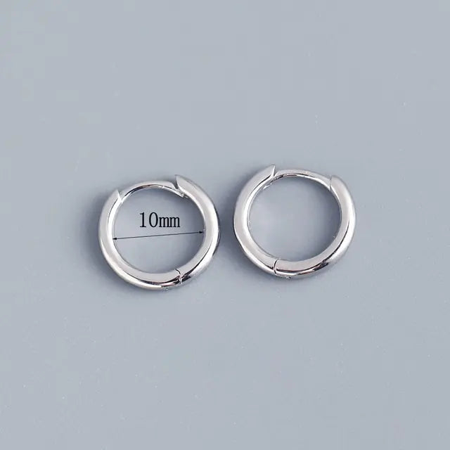 Stainless Steel Minimalist Huggie Hoop Earrings - Rosa Apparel